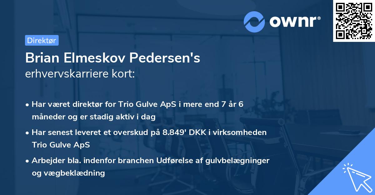 Brian Elmeskov Pedersen's erhvervskarriere kort