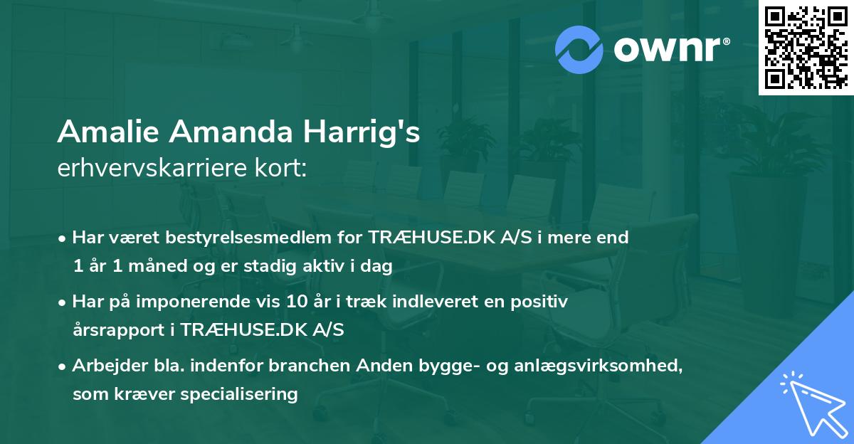 Amalie Amanda Harrig's erhvervskarriere kort