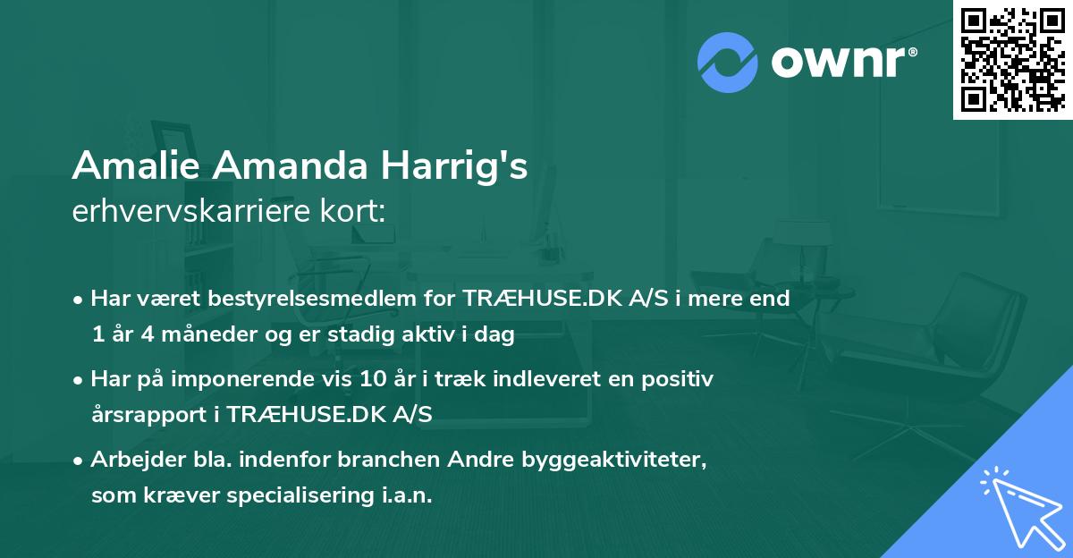 Amalie Amanda Harrig's erhvervskarriere kort