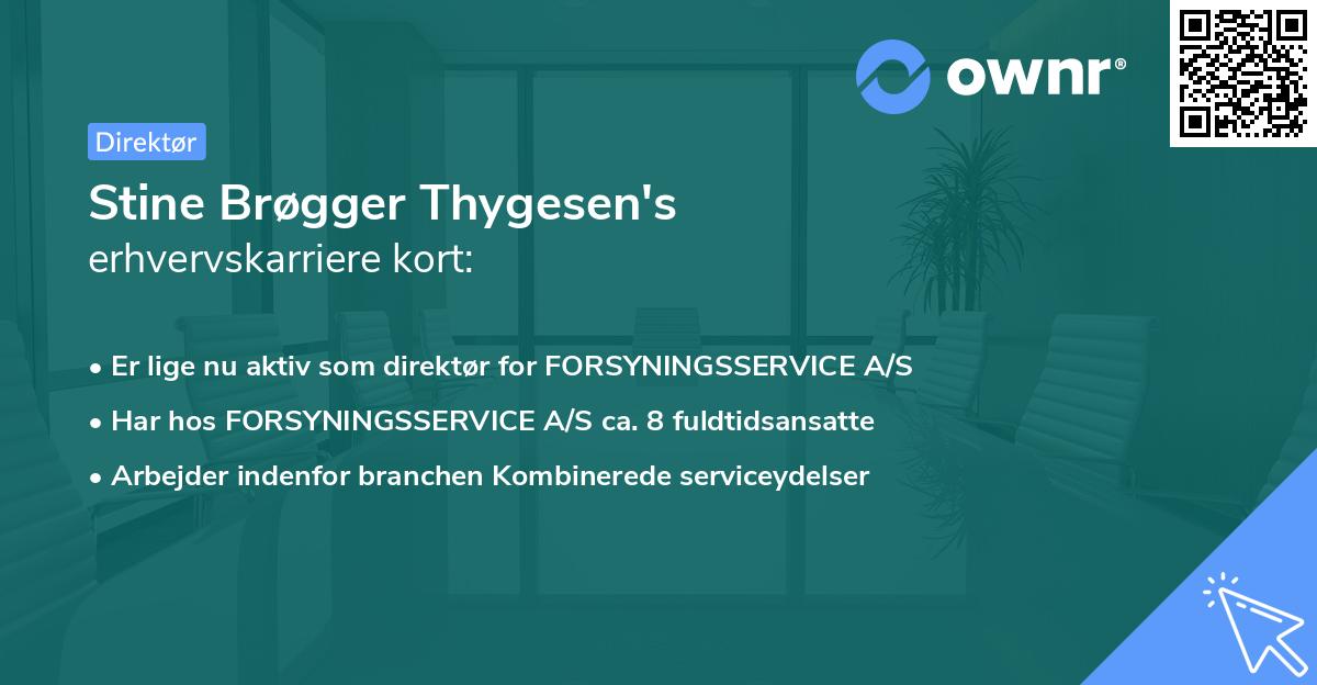 Stine Brøgger Thygesen's erhvervskarriere kort