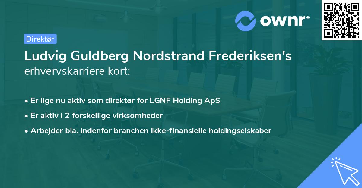 Ludvig Guldberg Nordstrand Frederiksen's erhvervskarriere kort
