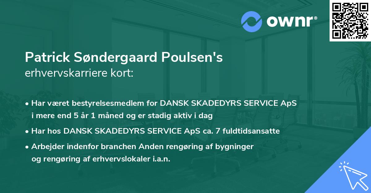 Patrick Søndergaard Poulsen's erhvervskarriere kort