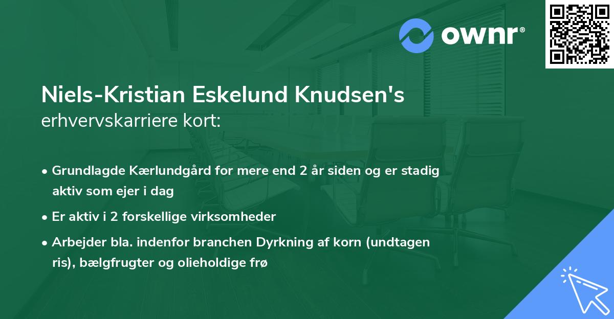 Niels-Kristian Eskelund Knudsen's erhvervskarriere kort