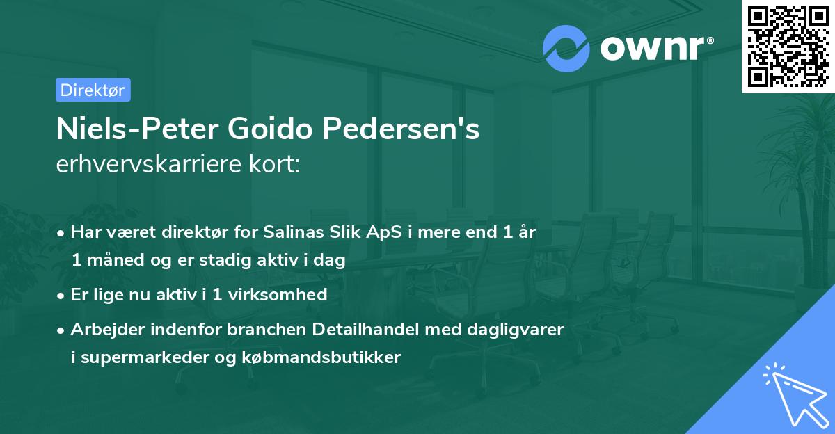 Niels-Peter Goido Pedersen's erhvervskarriere kort