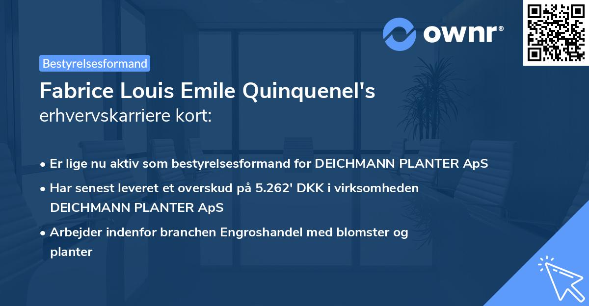 Fabrice Louis Emile Quinquenel's erhvervskarriere kort