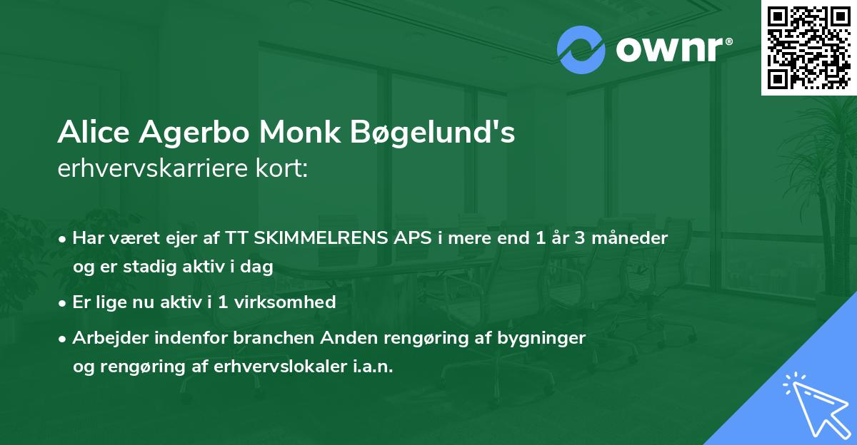 Alice Agerbo Monk Bøgelund's erhvervskarriere kort