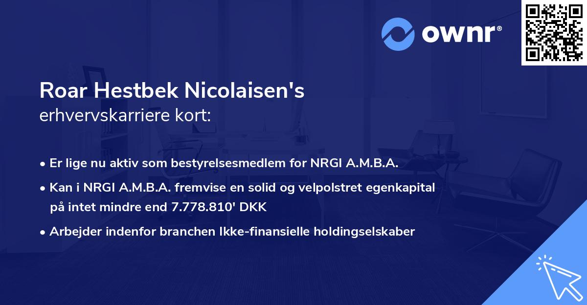 Roar Hestbek Nicolaisen's erhvervskarriere kort