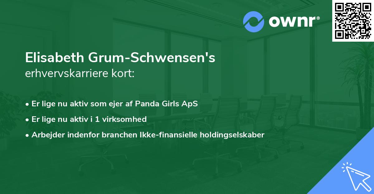 Elisabeth Grum-Schwensen's erhvervskarriere kort