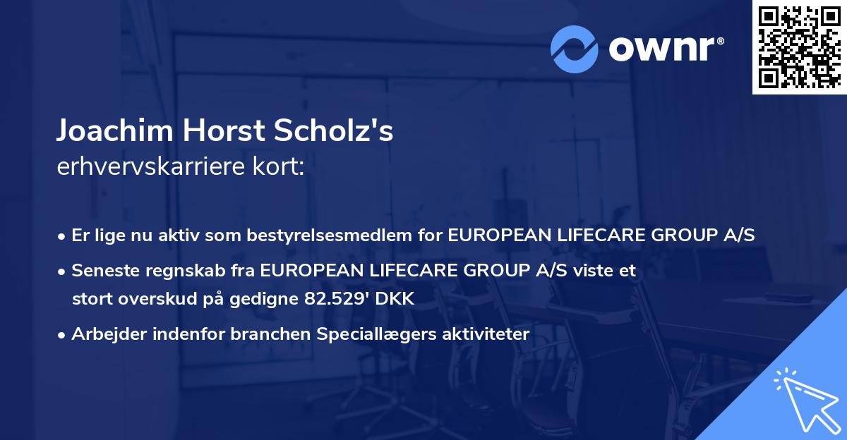 Joachim Horst Scholz's erhvervskarriere kort