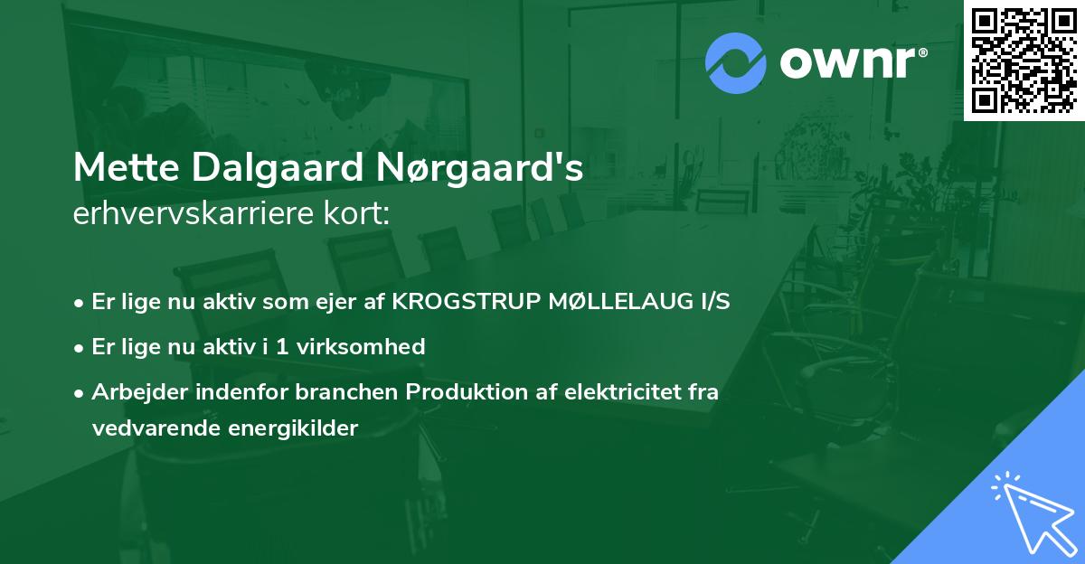 Mette Dalgaard Nørgaard's erhvervskarriere kort