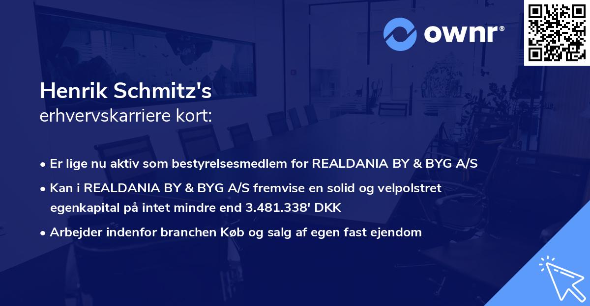 Henrik Schmitz's erhvervskarriere kort
