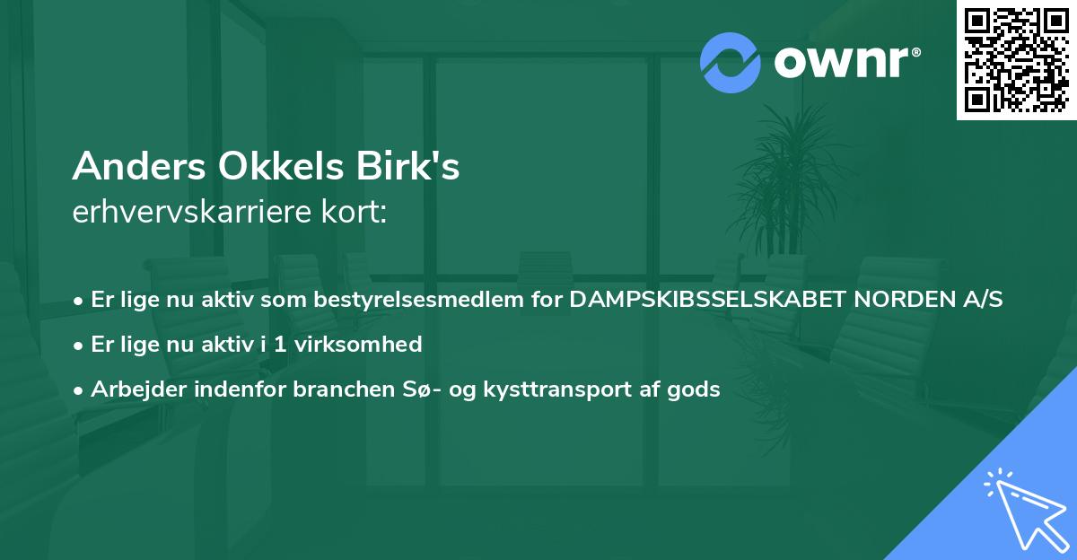 Anders Okkels Birk's erhvervskarriere kort