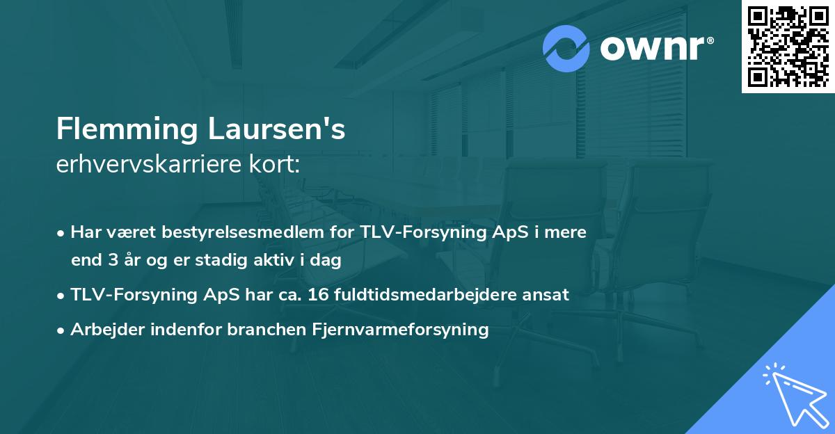 Flemming Laursen's erhvervskarriere kort