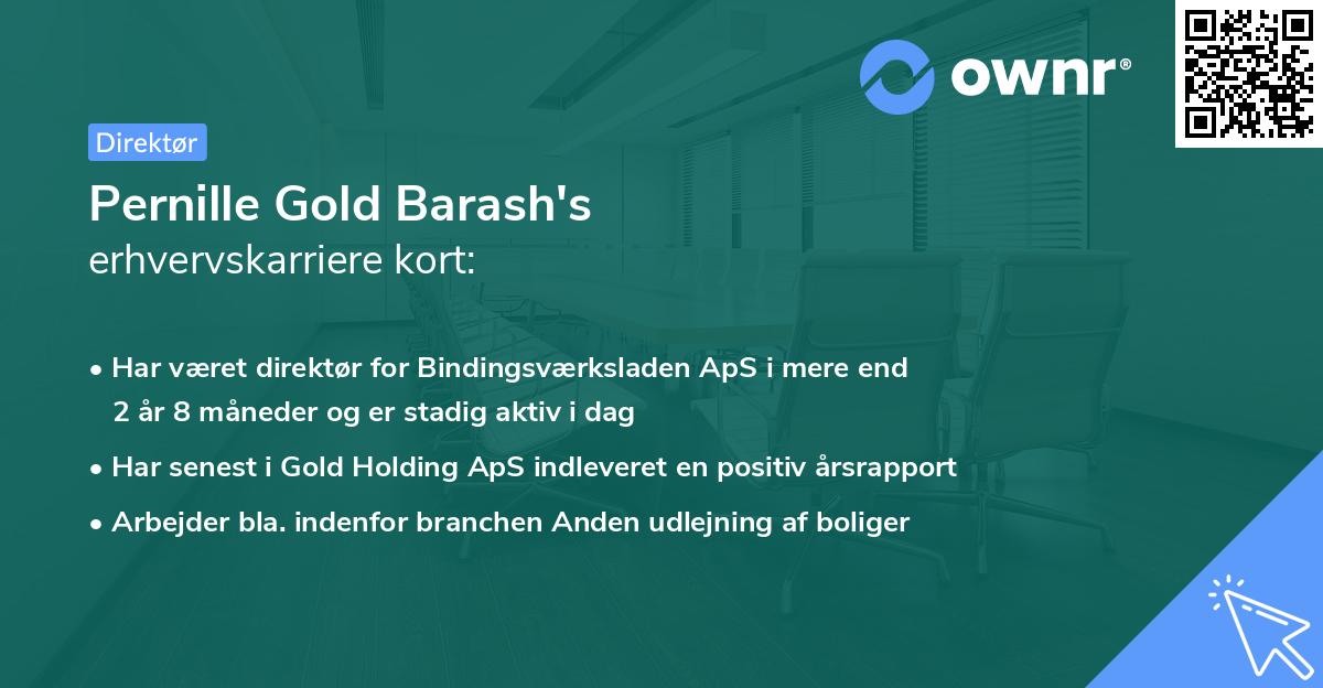 Pernille Gold Barash's erhvervskarriere kort