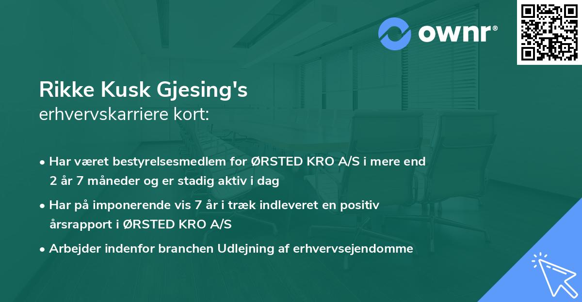 Rikke Kusk Gjesing's erhvervskarriere kort