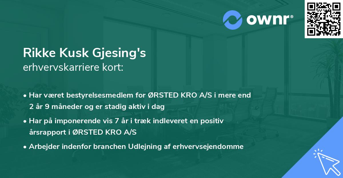 Rikke Kusk Gjesing's erhvervskarriere kort