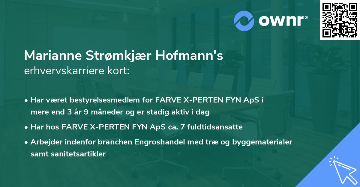 Marianne Strømkjær Hofmann's erhvervskarriere kort