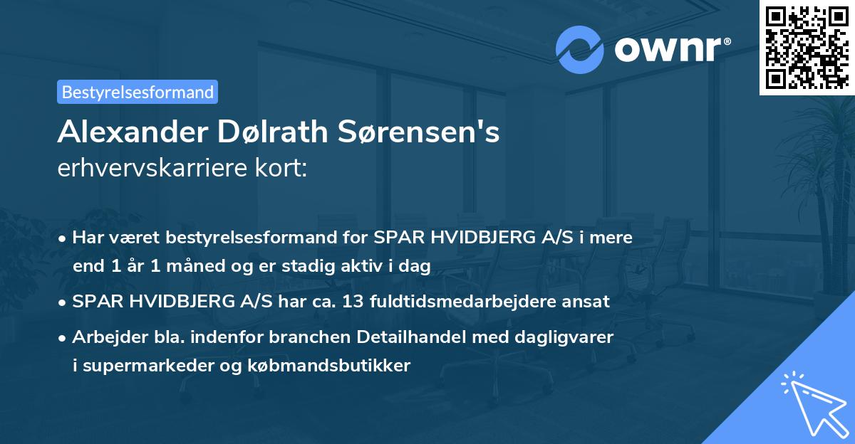 Alexander Dølrath Sørensen's erhvervskarriere kort