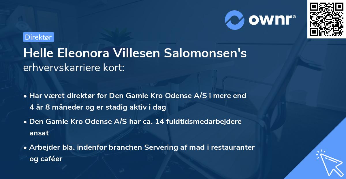 Helle Eleonora Villesen Salomonsen's erhvervskarriere kort
