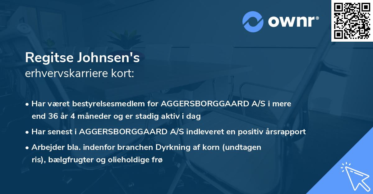 Regitse Johnsen's erhvervskarriere kort