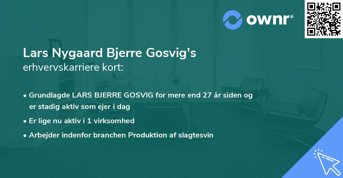 Lars Nygaard Bjerre Gosvig's erhvervskarriere kort