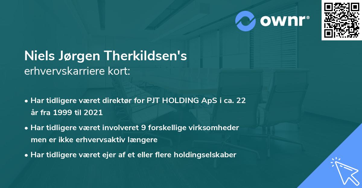 Niels Jørgen Therkildsen's erhvervskarriere kort