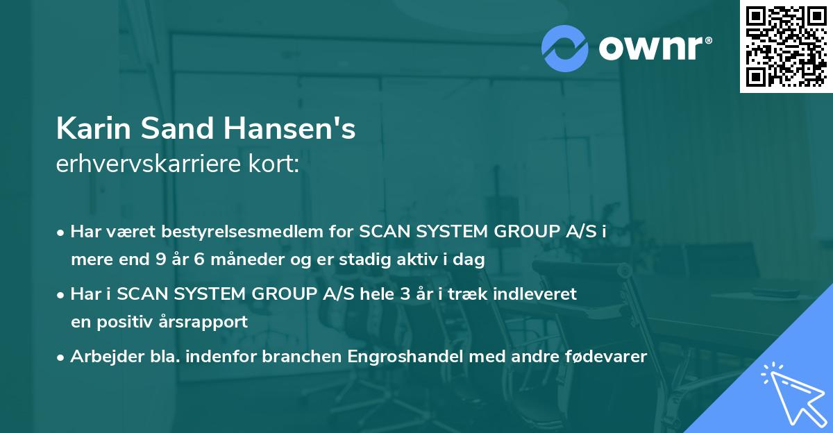 Karin Sand Hansen's erhvervskarriere kort