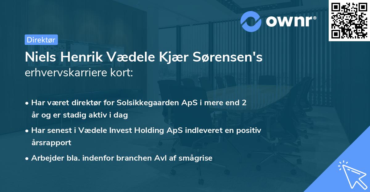 Niels Henrik Vædele Kjær Sørensen's erhvervskarriere kort