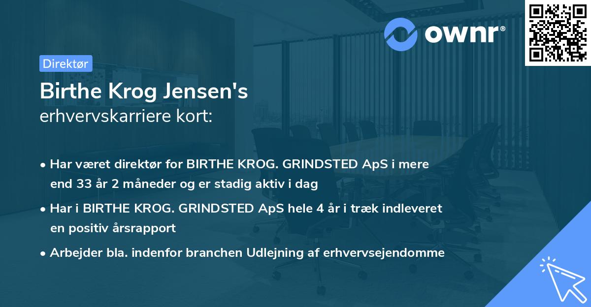 Birthe Krog Jensen's erhvervskarriere kort