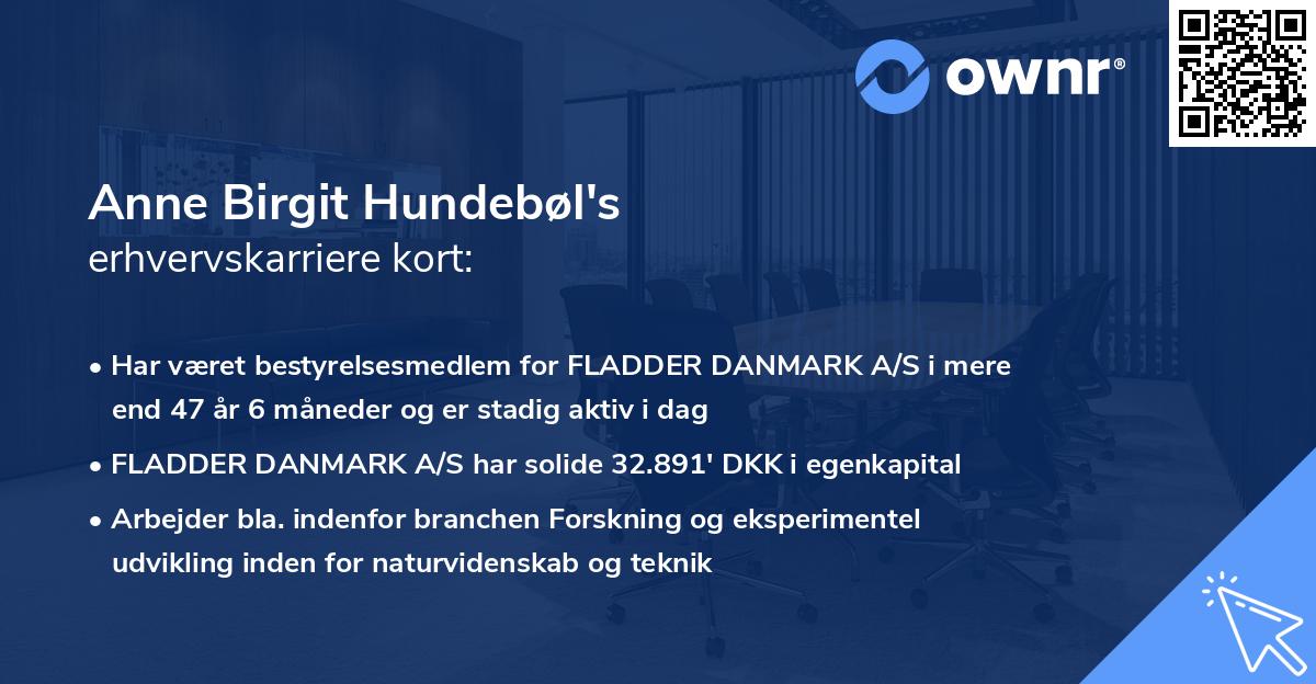 Anne Birgit Hundebøl's erhvervskarriere kort