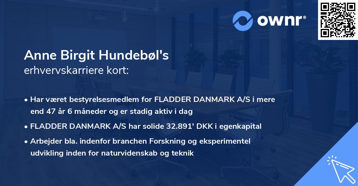 Anne Birgit Hundebøl's erhvervskarriere kort