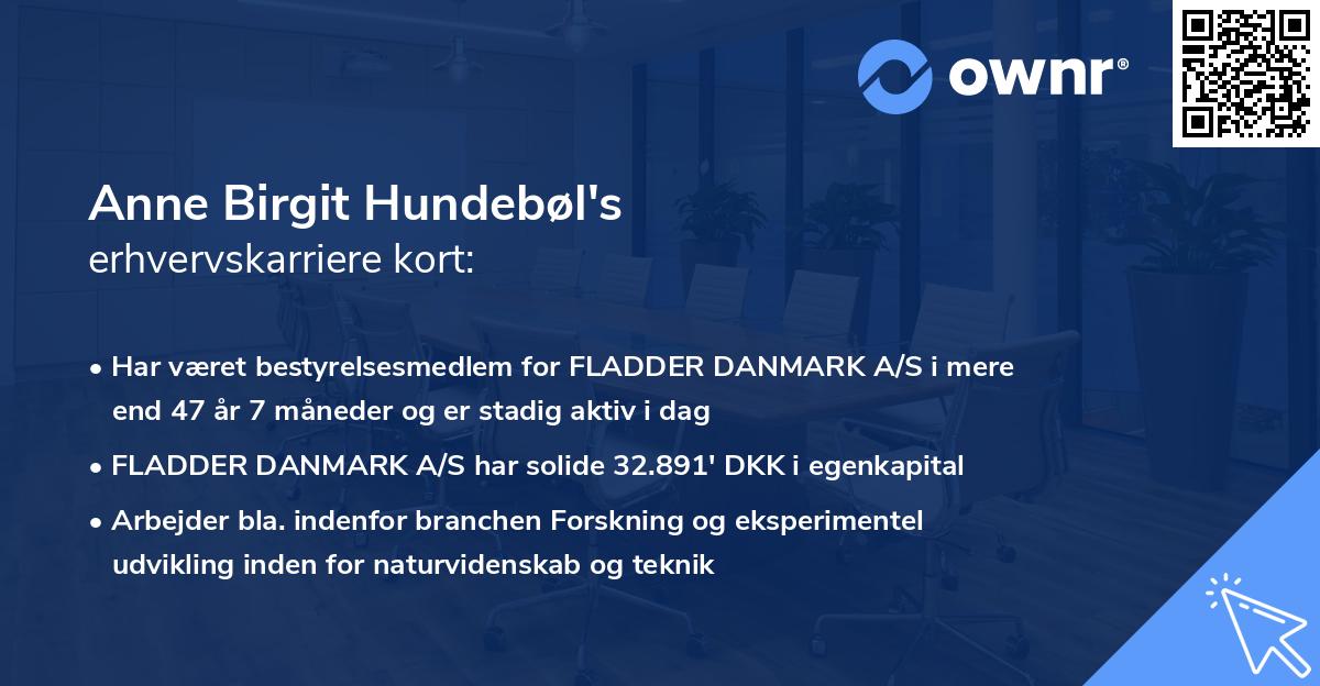 Anne Birgit Hundebøl's erhvervskarriere kort