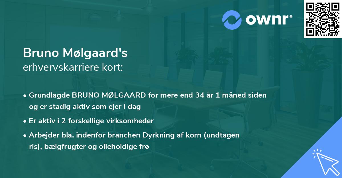 Bruno Mølgaard's erhvervskarriere kort