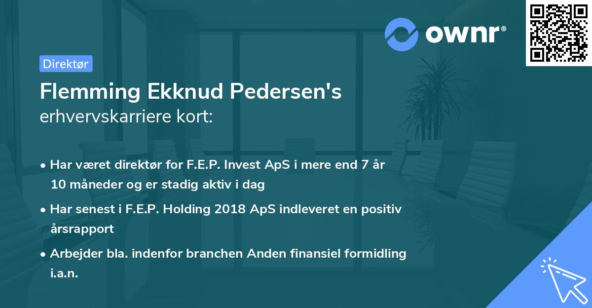 Flemming Ekknud Pedersen's erhvervskarriere kort