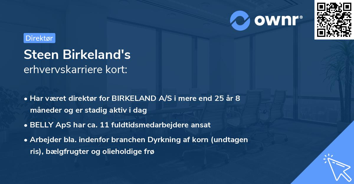 Steen Birkeland's erhvervskarriere kort