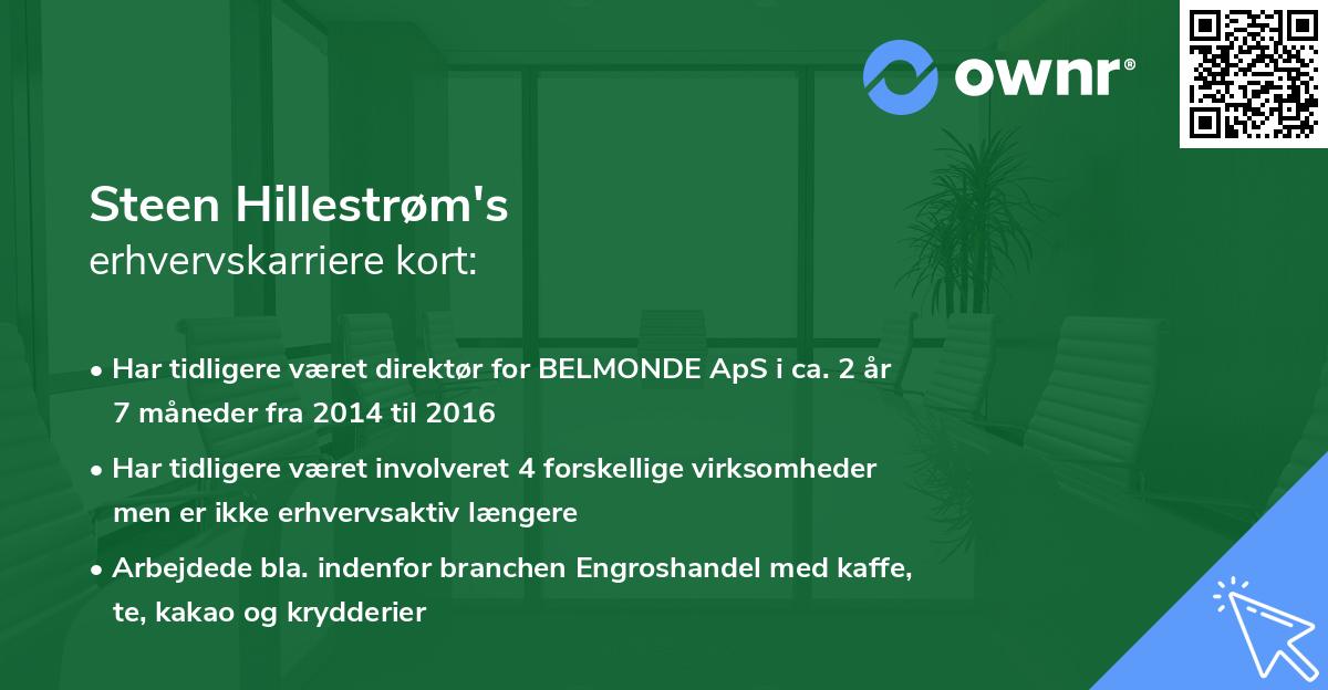 Steen Hillestrøm's erhvervskarriere kort