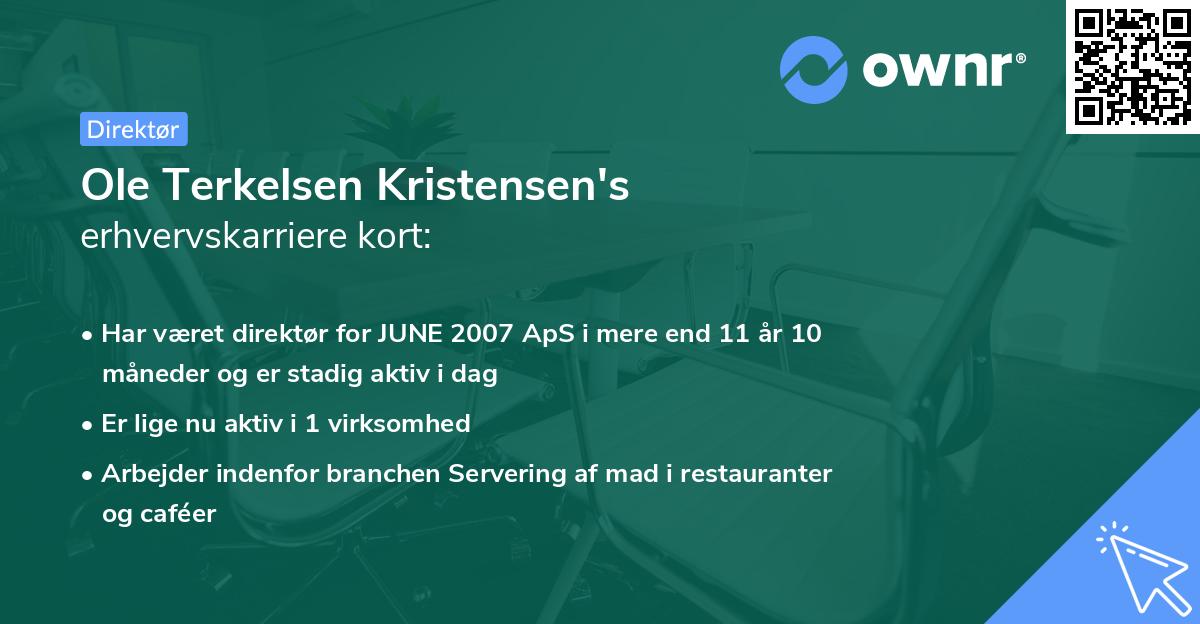 Ole Terkelsen Kristensen's erhvervskarriere kort