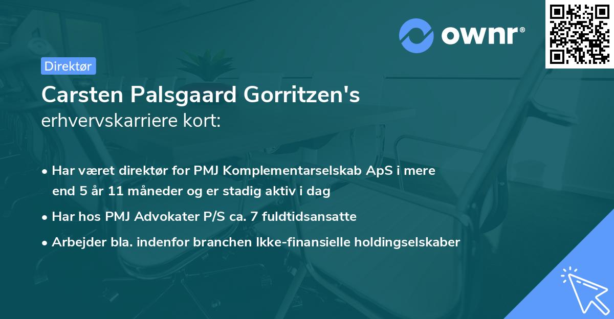 Carsten Palsgaard Gorritzen's erhvervskarriere kort