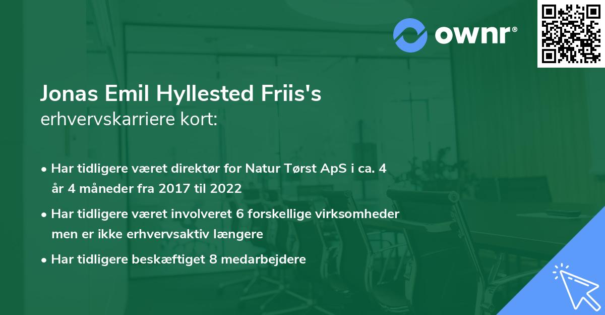 Jonas Emil Hyllested Friis's erhvervskarriere kort