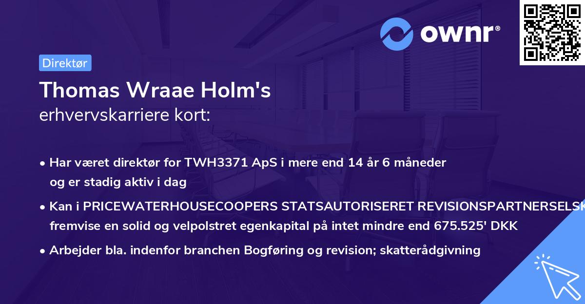 Thomas Wraae Holm's erhvervskarriere kort