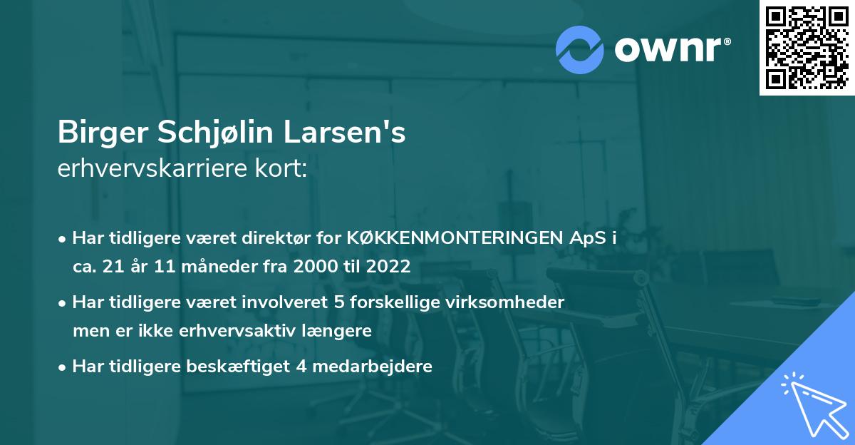 Birger Schjølin Larsen's erhvervskarriere kort