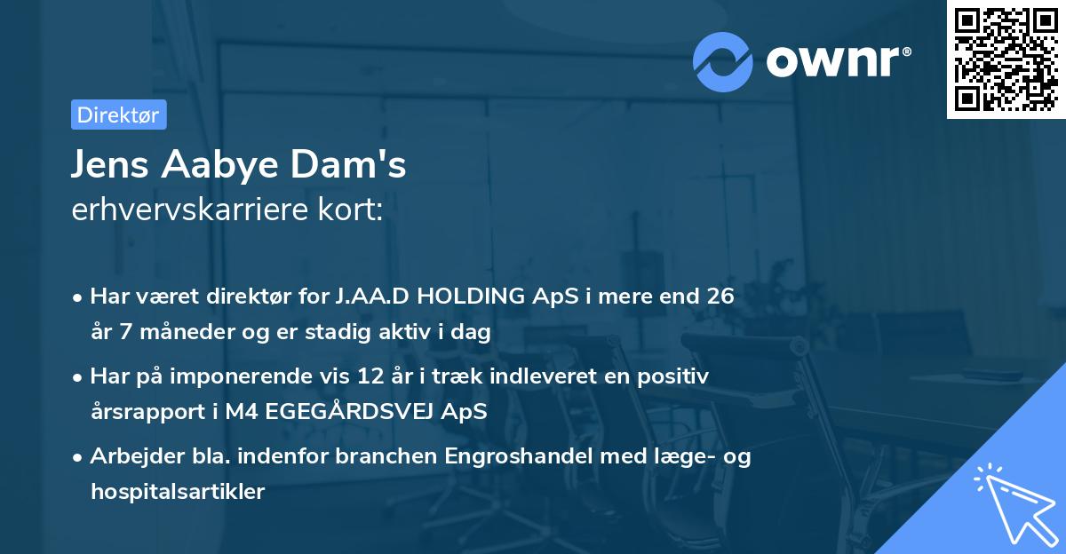 Jens Aabye Dam's erhvervskarriere kort