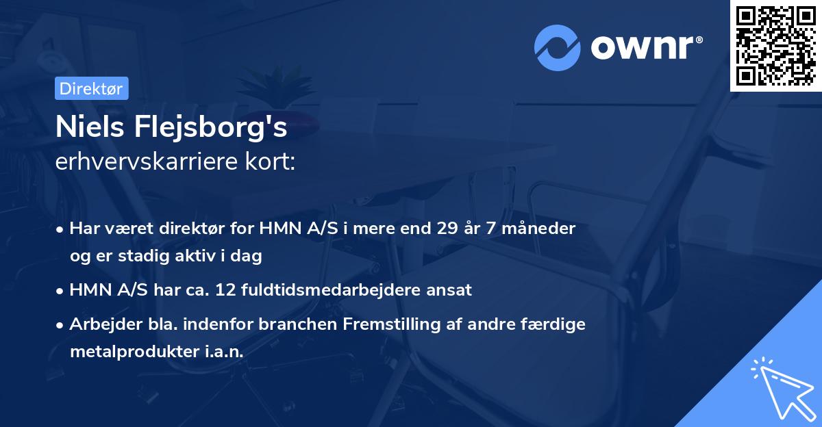 Niels Flejsborg's erhvervskarriere kort