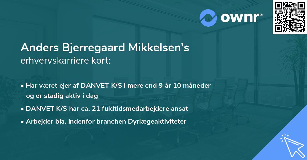 Anders Bjerregaard Mikkelsen's erhvervskarriere kort