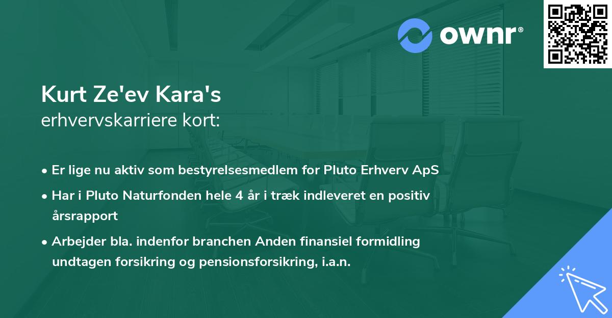 Kurt Ze'ev Kara's erhvervskarriere kort