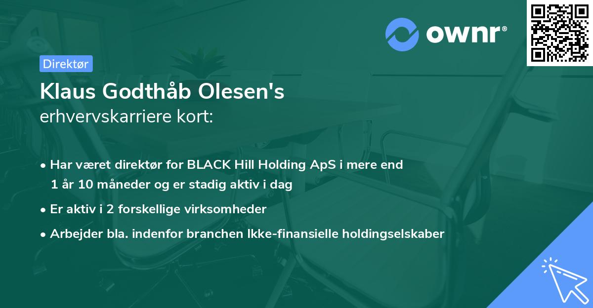 Klaus Godthåb Olesen's erhvervskarriere kort