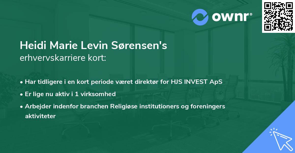 Heidi Marie Levin Sørensen's erhvervskarriere kort