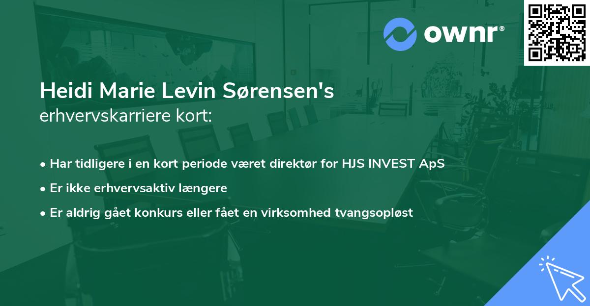 Heidi Marie Levin Sørensen's erhvervskarriere kort