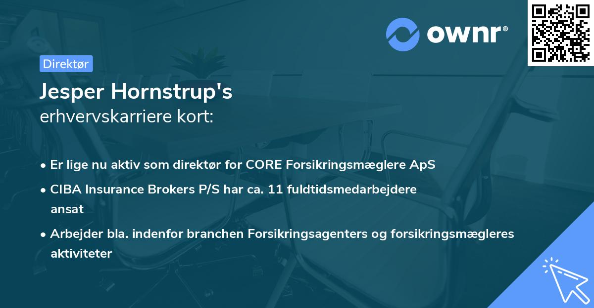 Jesper Hornstrup's erhvervskarriere kort