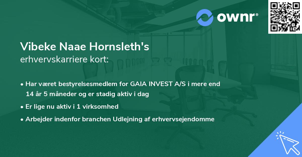 Vibeke Naae Hornsleth's erhvervskarriere kort